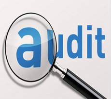 Social Audit Service