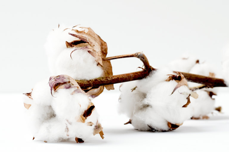 Organic Cotton Identification Services