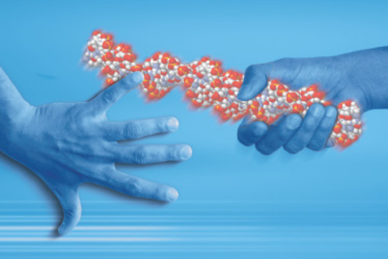 Drug Development Services