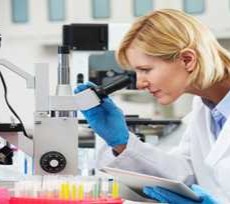 Facility Management Services