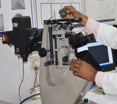 Metallography Training