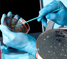 Microbiology Testing