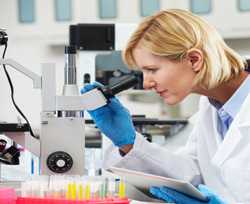 SPECIALIZED SERVICES