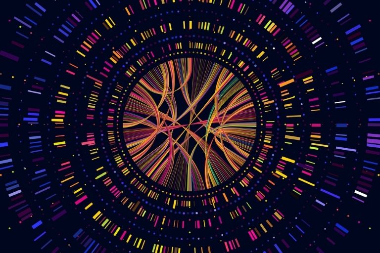 Bioinformatics Services