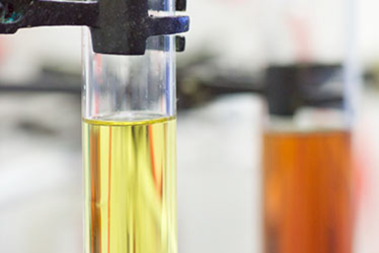 Drug Discovery Services